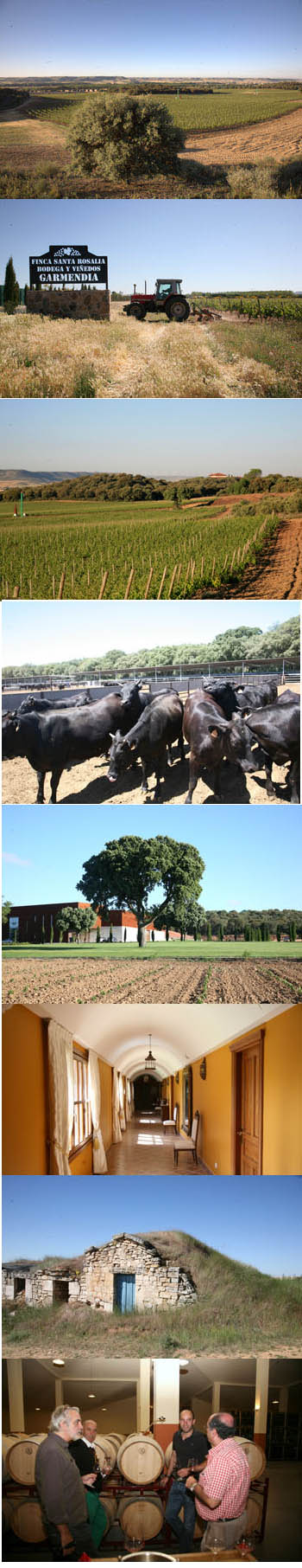 Finca Santa Rosalia